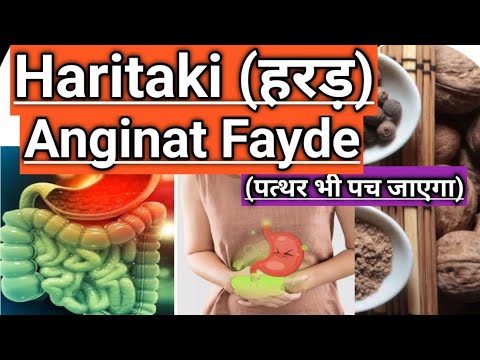 Haritaki (हरड़) Anginat Fayde In Hindi | Rasayan For Strength Immunity ...