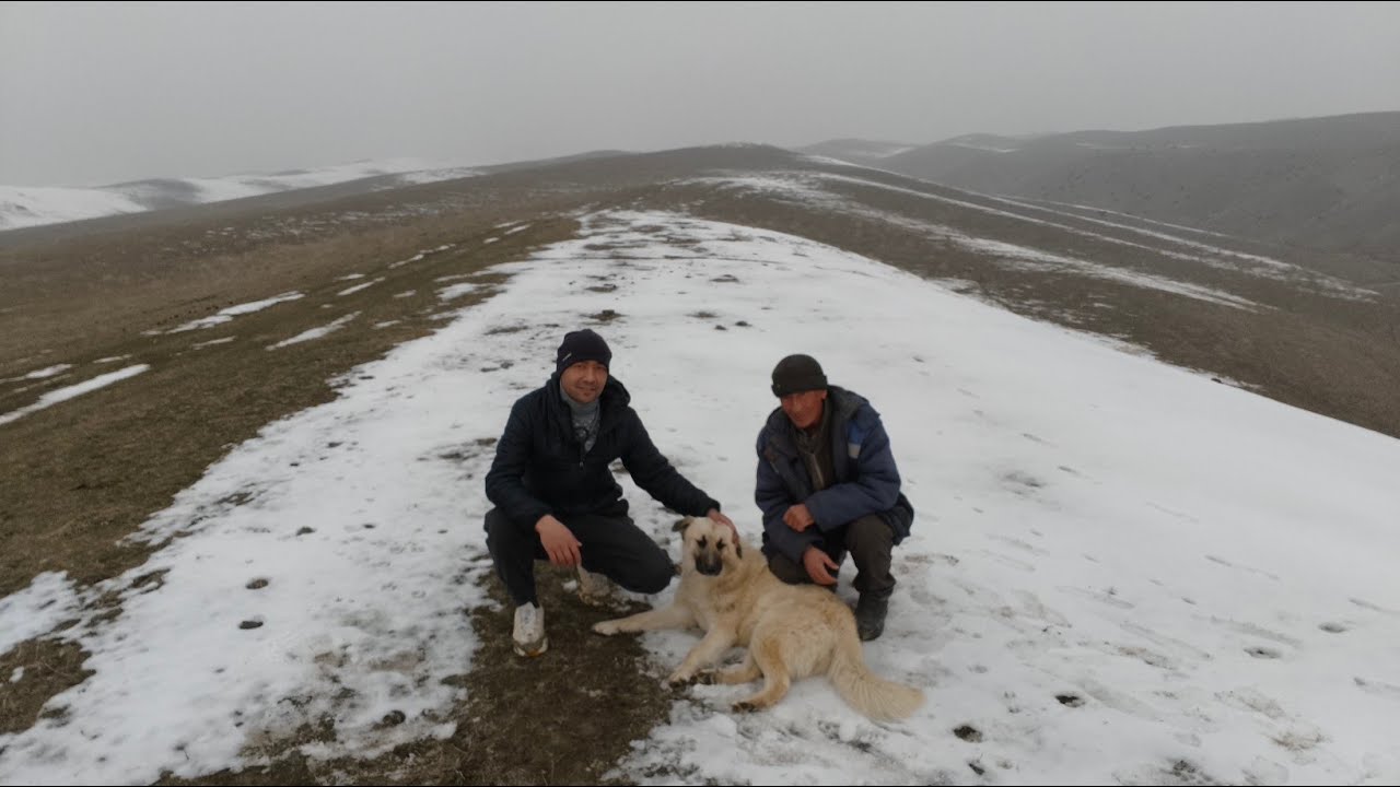 Дадам Билан Адирдан Жонли Эфир, Кыргызстан 🇰🇬