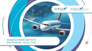 Dangerous Goods Cat 9 & 15 (Pax Handling - Carry - Yes) Online Course Introduction - Sofema Online