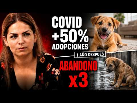 ADOPTARON ANIMALES en pandemia y LOS ABANDONARON al año siguiente