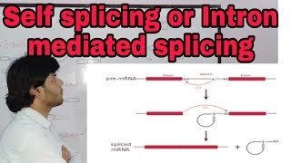 Self splicing (intron mediated splicing) splicing part 3 (post Transcriptional Modification) lect 4