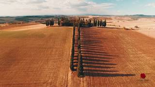 Tuscany Wine Experience | LivTours