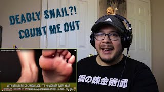 10 Most Deadliest Animals in Australia (REACTION!!)