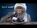 أغرب أكلات ثلجية جربتها في حياتي