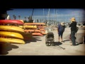Sea Lion Pup Rescue