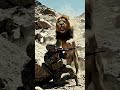 Lion Attack.