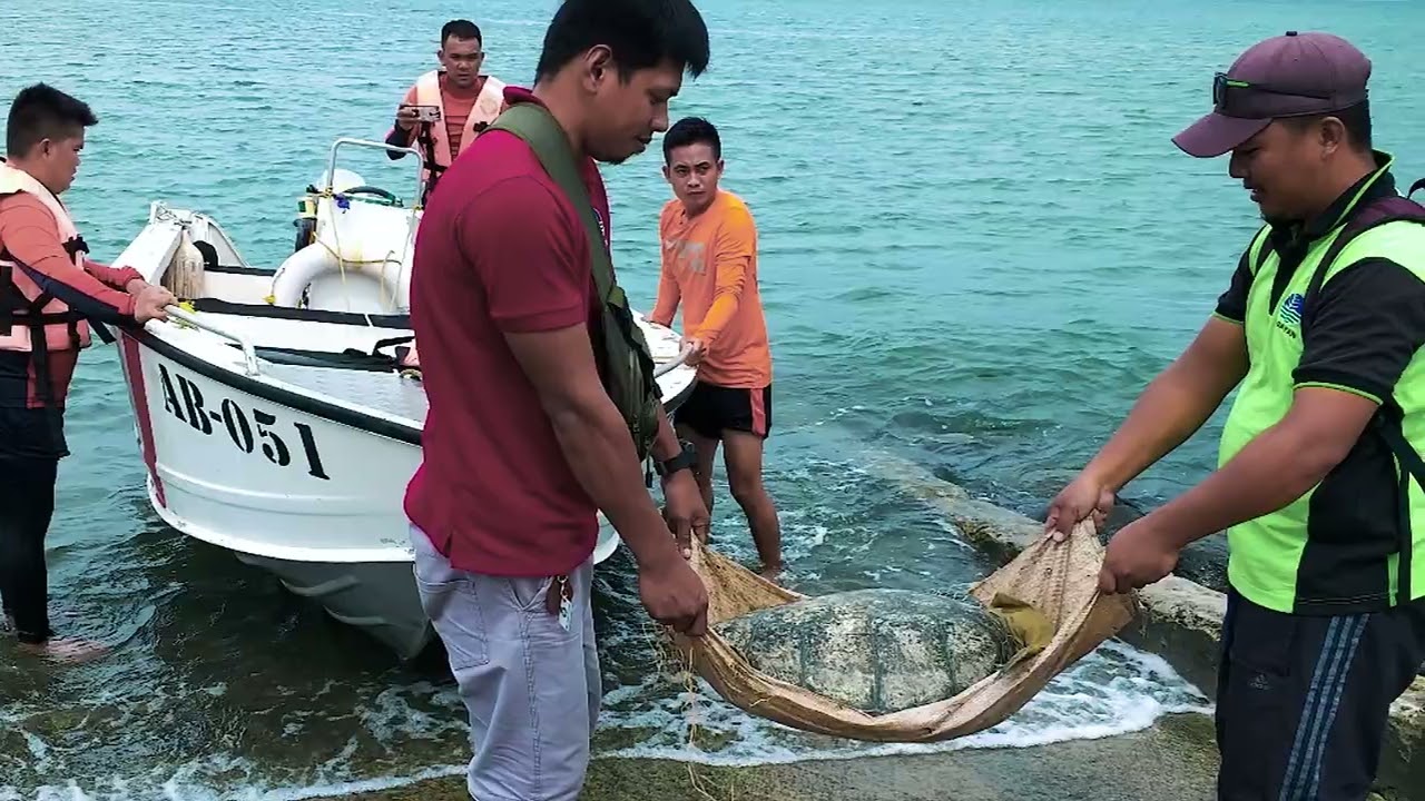 Palaui Island Protected Landscape and Seascape (PIPLS) Profile