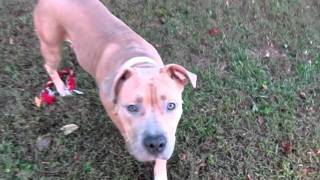 Emma- Has Finally Arrived From Brooklyn