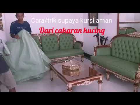 Cara//Trik supaya kursi aman dari cakaran kucing 