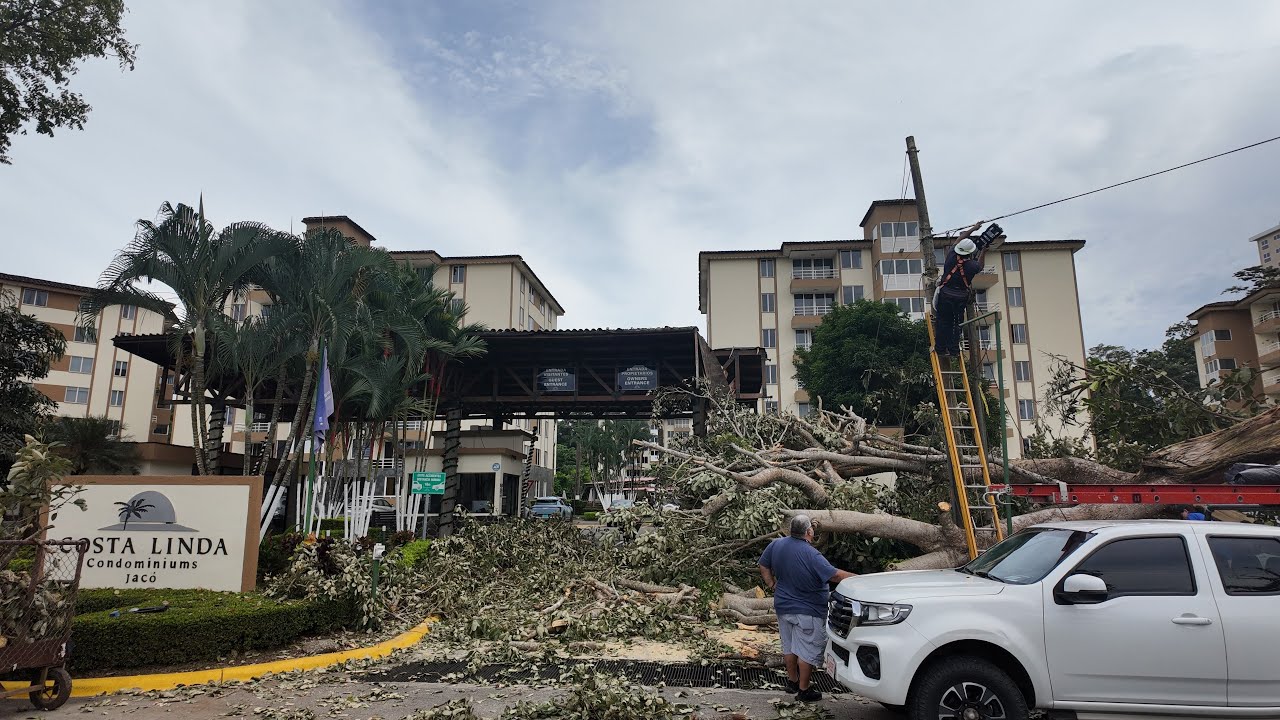 Еще одна трагедия Bites the Dust предотвращена