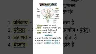 class 9 se 12 ncert up board 2026 |math |science| english