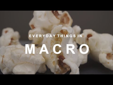 EVERYDAY Objects & Things In MACRO Close Up