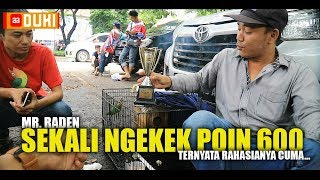 MR RADEN Sekali Ngekek Poin 600, Ternyata Rahasianya Cuma...