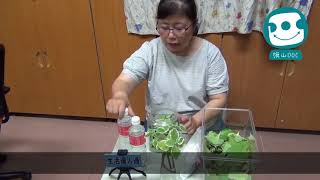 旗山doc 左手香防蚊液 Youtube