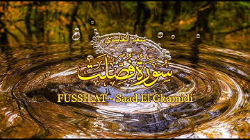 41 - سورة فصلت - سعد الغامدي - Sourate FUSSILAT - Saad El Ghamidi