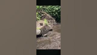 Rumus alvia channel, pemandangan air terjun alam yang indah 