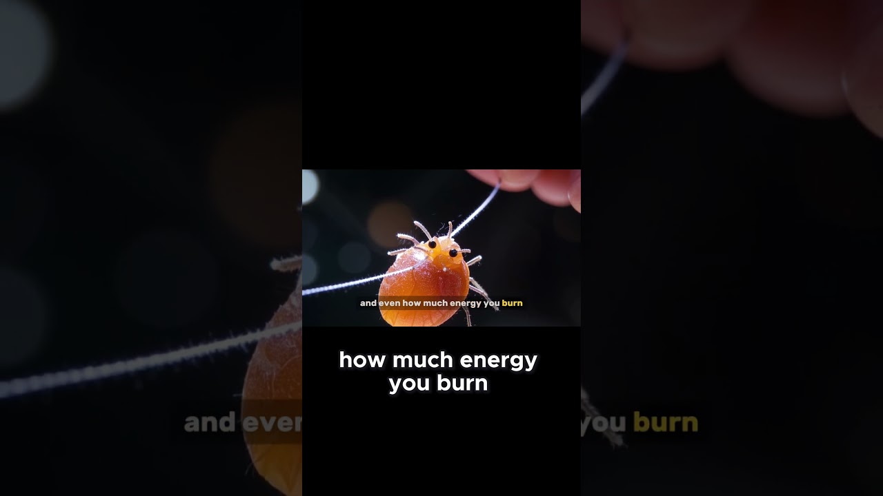 Meet Your Gut Microbiome - The Tiny Guests Controlling Your Weight and Hunger! 