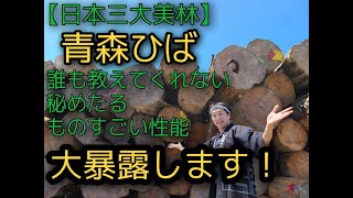 青森ヒバの秘密【日本三大美林】材木店がお伝えする【誰も教えてくれない秘密】