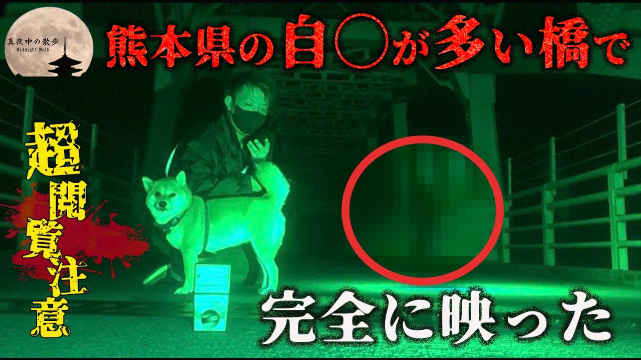 【心霊】愛犬が見ている先に映っていたものが怖すぎた...熊本県最恐心霊スポット【内大臣橋】#78