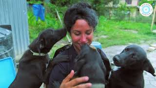 Magic Marble Foundation: Who are we?