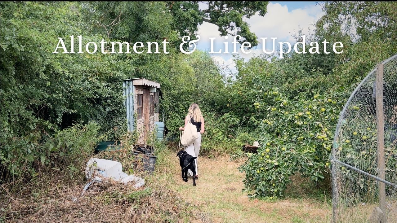 STARTING OVER: Life Lately & the Allotment 🌱 Allotment VLOG #33