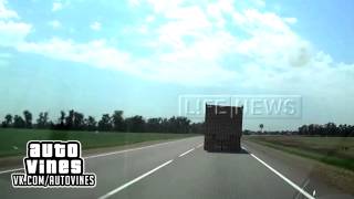 Auto Vines №165