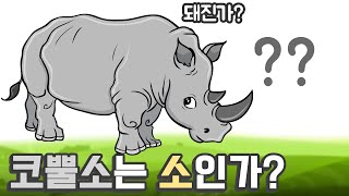 코뿔소는 소인가? / 인간 몸속에 뛰는 돼지 심장