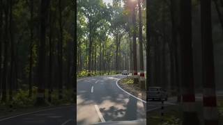 DIGIDI DIGIDI Song ✨🚗 #driving #travel #car #love #song #nature #shortsfeed #trending #youtubeshorts