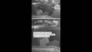 Surveillance video shows suspected thieves using postal keys to steal mail in CA