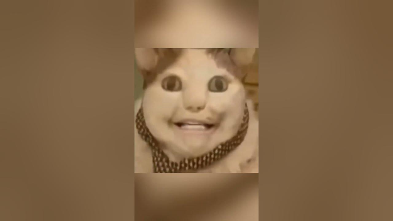 БУ!! Испугался? Не бойся! | #мем #meme #cat #кот #небуди - YouTube
