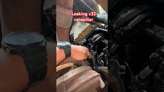 Cover gasket leaking c32 catepillar #mechanicjack #excavator #catepillar