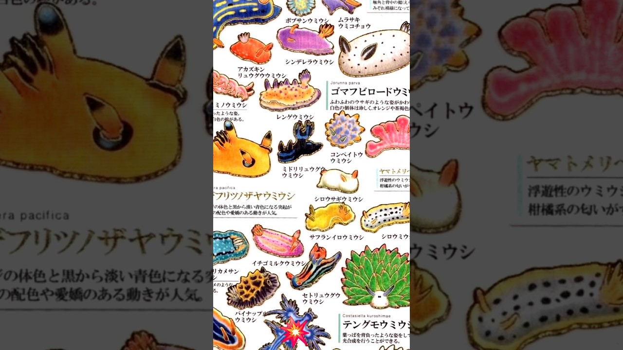 types of sea creatures 