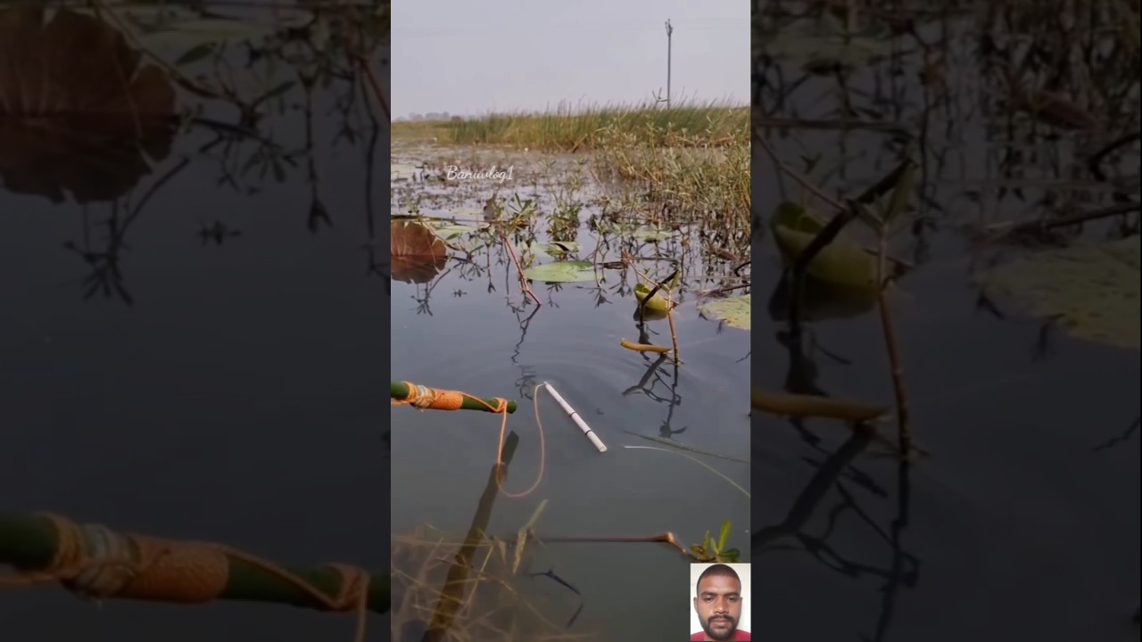 Fishing rod se badi machli pakde | Big Fish 