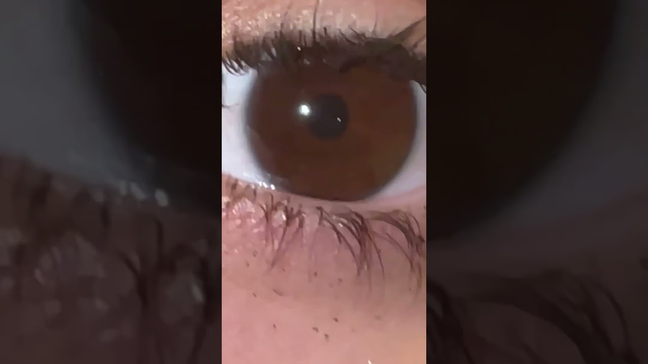 Not my crusty musty dusty lashes with the crumbled mascara 😭😭😭😭😭 