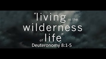SERMON - "Living in the WILDERNESS of Life"