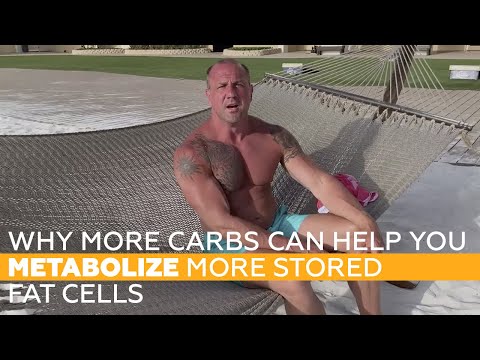 why-more-carbs-can-help-you-metabolize-more-stored-fat-cells