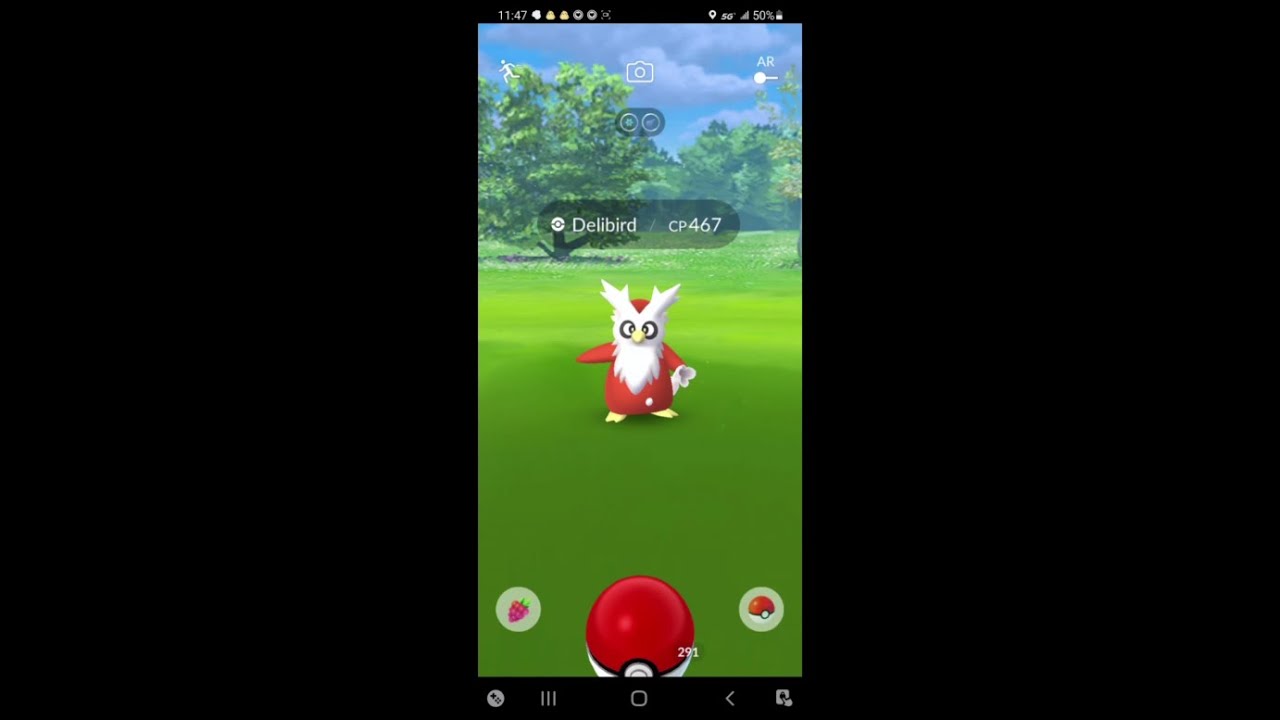 Winter Holiday Timed Research