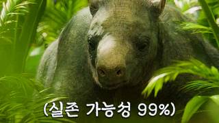 과학자들이 꼽은, 가장 실존 가능성 높은 아마존의 괴물