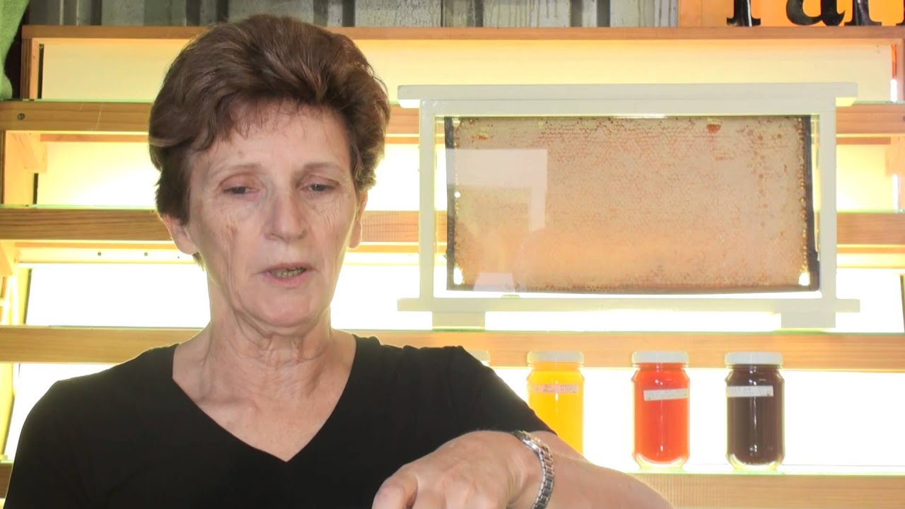 Castle Hill Show Honey Judging