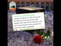 Real Customer Reviews &amp; Spiritual Journey 2024