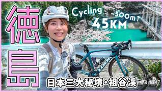 自転車44 ゴスフォード（ジュニア自転車）｜製品ページ