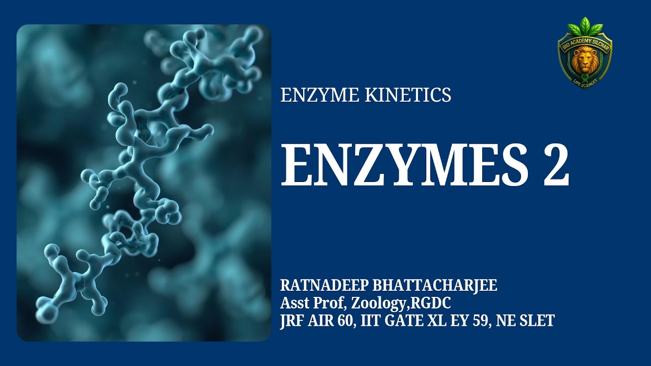 ENZYME KINETICS// ENZYMES LECTURE 2 // CSIRNET LIFESCIENCES// GATE XL BT// SLET LIFESCIENCES