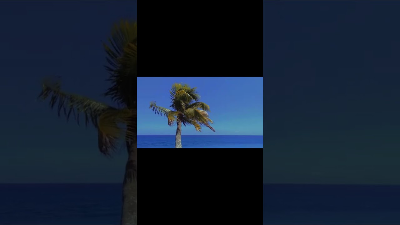 Volounterism / Multimedia tech.