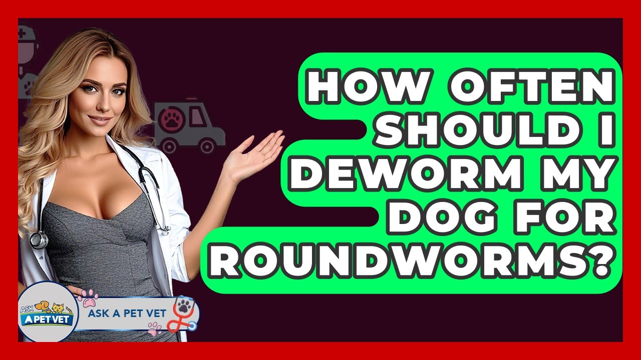 how-often-should-i-deworm-my-dog-for-roundworms-ask-a-pet-vet-youtube
