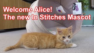 Welcome to Alice  Kitty Mascot for In Stitches  Early Access for Patreons.