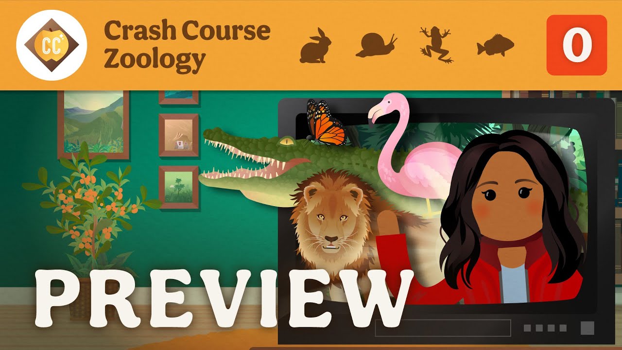 🦀 Crash Course Zoology Preview