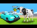 CHAPATI PLAYING AS DETECTIVE TO SAVE WOBBLY LIFE ANIMALS CHAPATI PLAYING AS DETECTIVE TO SAVE WOBBLY LIFE ANIMALS