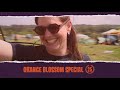 Orange blossom special festival 2023  official aftermovie