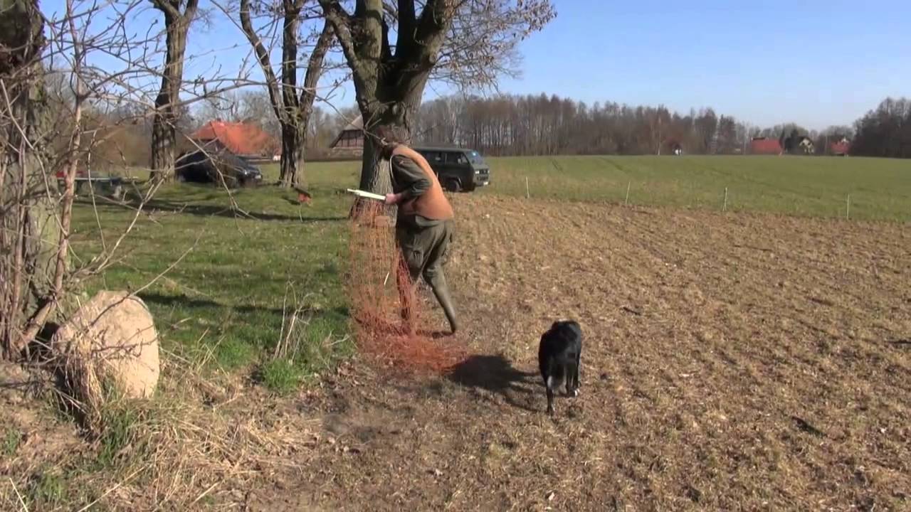 Ein Tag im März 2014 in der 