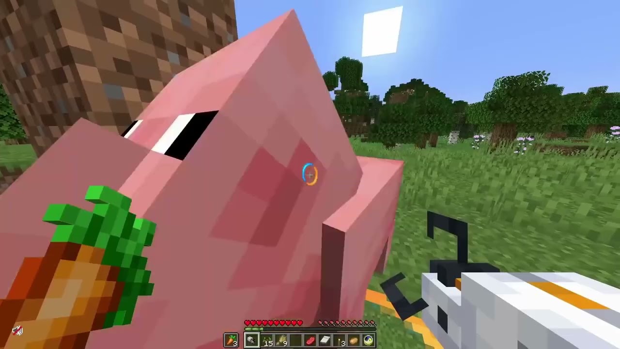 Portal gun